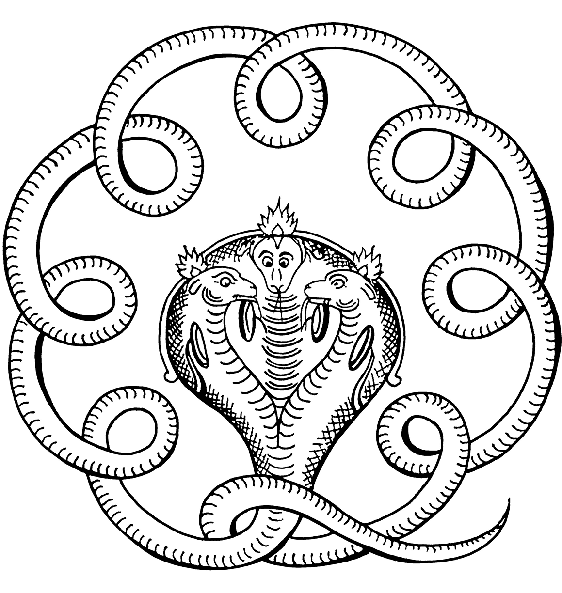 Spitting Cobra Coloring Pages At Getdrawings Free Download 3016