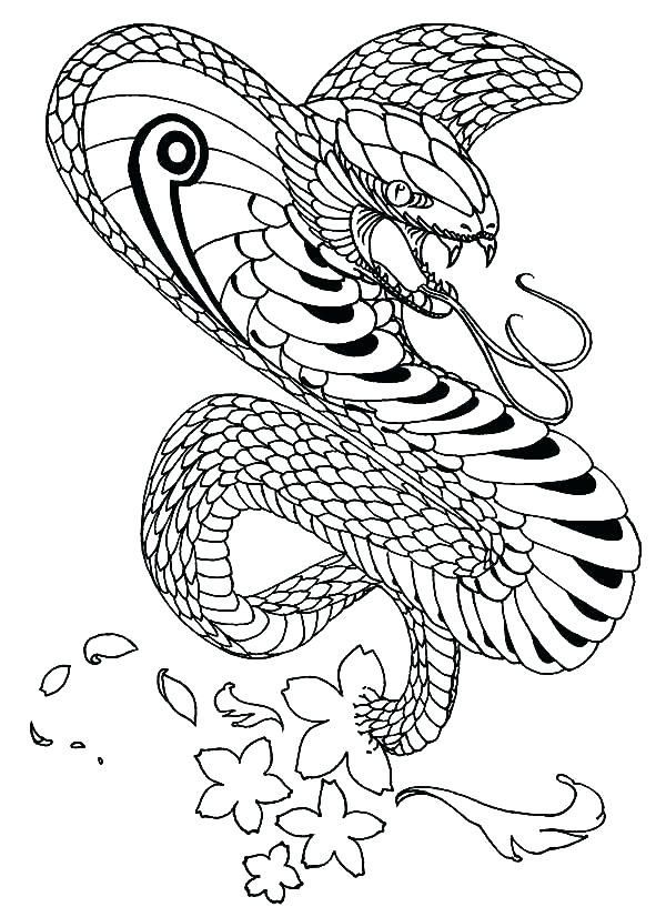 Spitting Cobra Coloring Pages At Getdrawings Free Download 3934