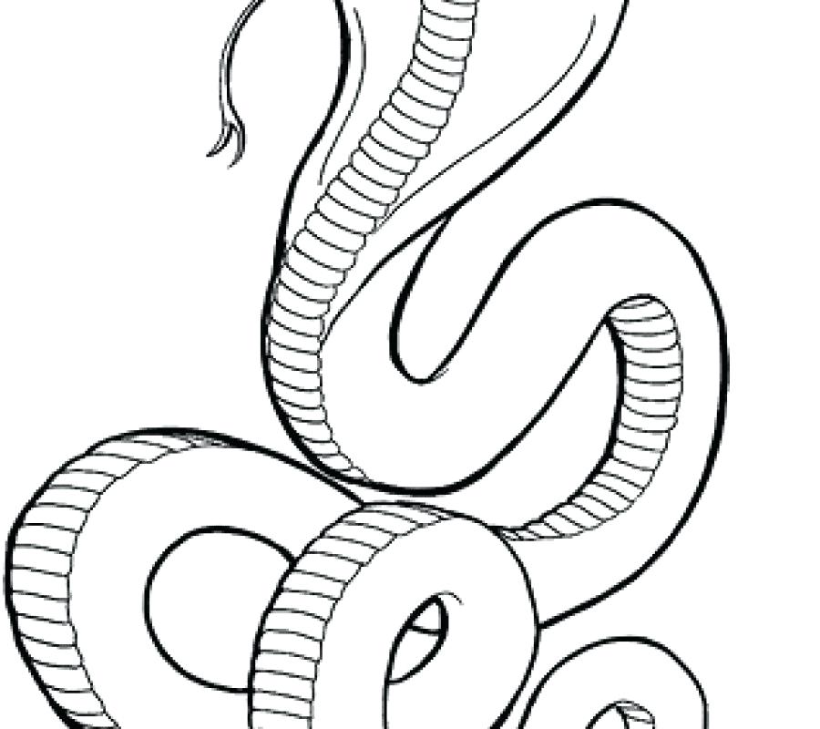 Spitting Cobra Coloring Pages At Getdrawings Free Download 3515