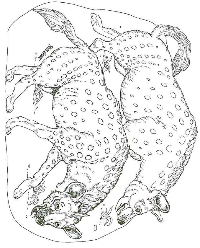 Spotted Hyena Coloring Pages at GetDrawings | Free download