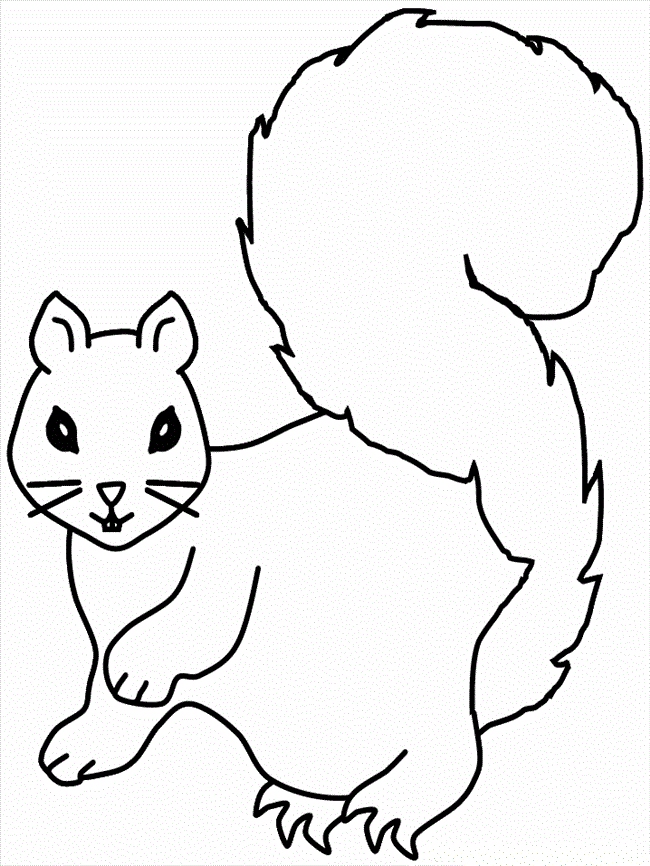 Squirrel Outline Drawing at GetDrawings Free download