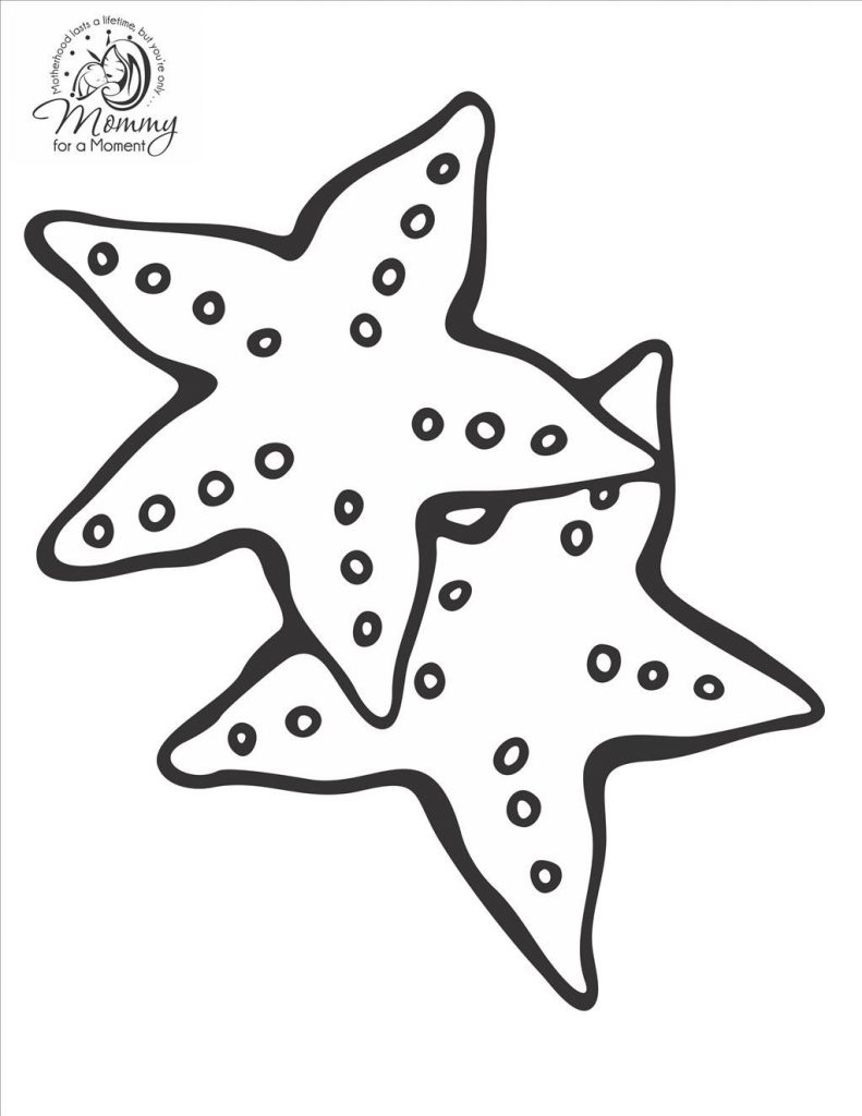 Starfish Coloring Pages For Kids at GetDrawings Free download