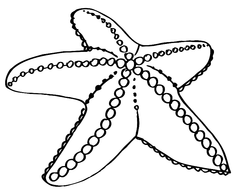 Starfish Coloring Pages To Print at GetDrawings Free download