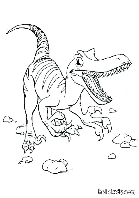 Stegosaurus Coloring Page at GetDrawings | Free download