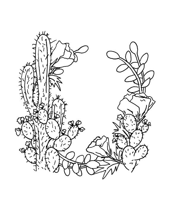 succulent-coloring-page-at-getdrawings-free-download