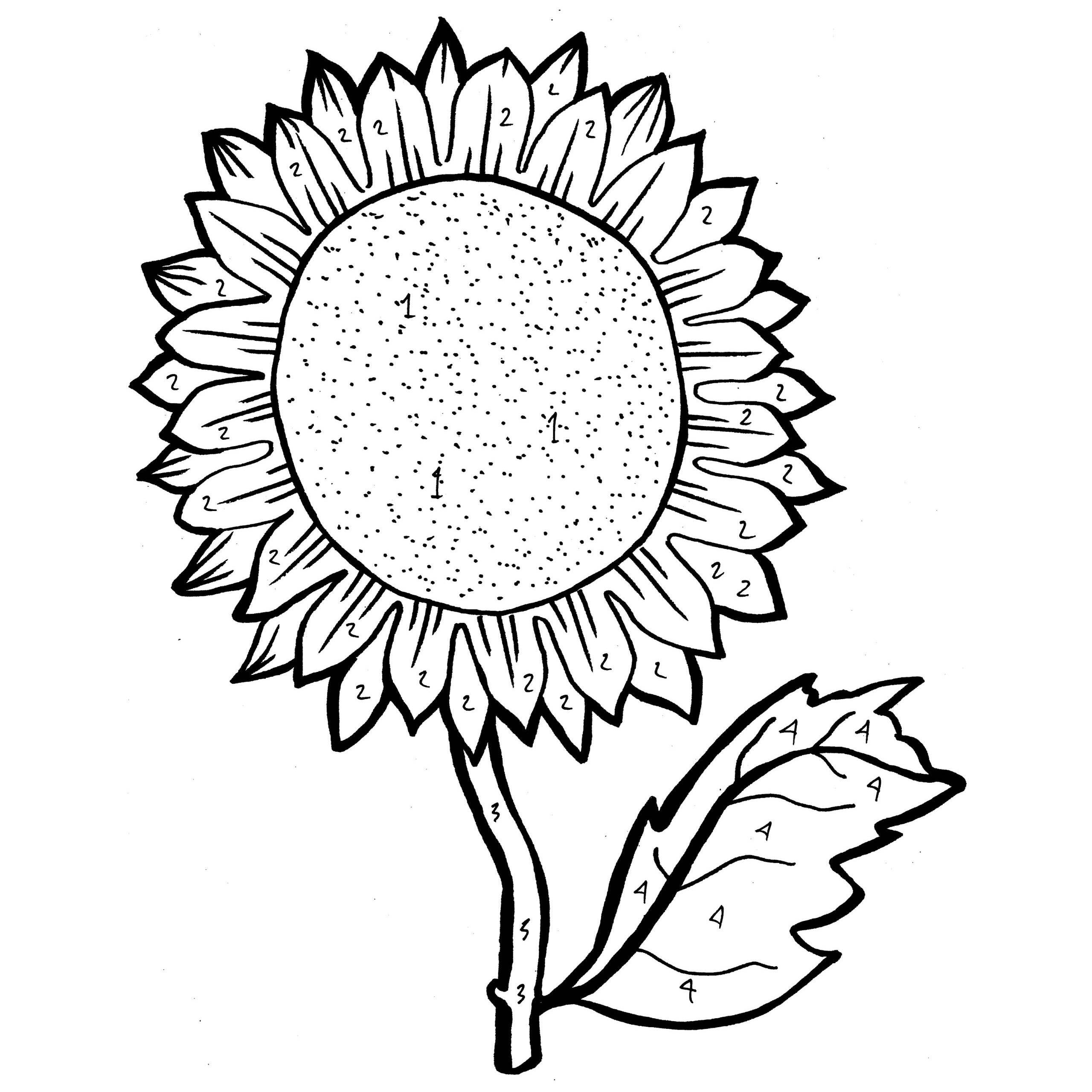 Sunflower Coloring Pages For Adults at GetDrawings | Free download