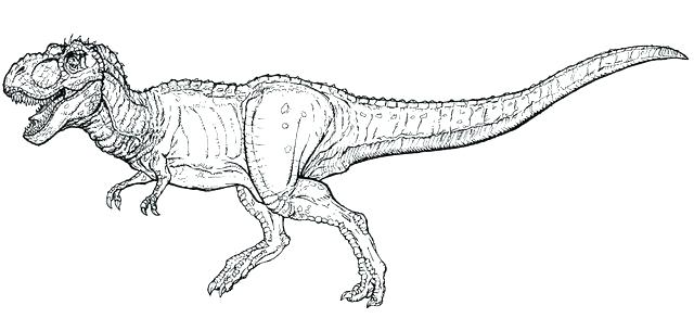 Cute Dinosaur Coloring Pages T Rex / See more ideas about dinosaur