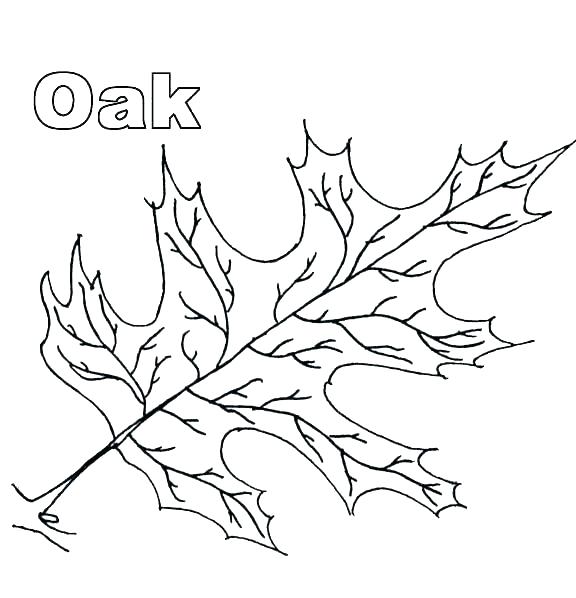 Thanksgiving Leaves Coloring Pages at GetDrawings | Free download