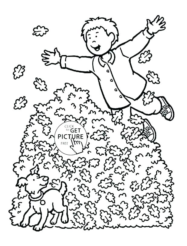 Thanksgiving Leaves Coloring Pages at GetDrawings | Free download