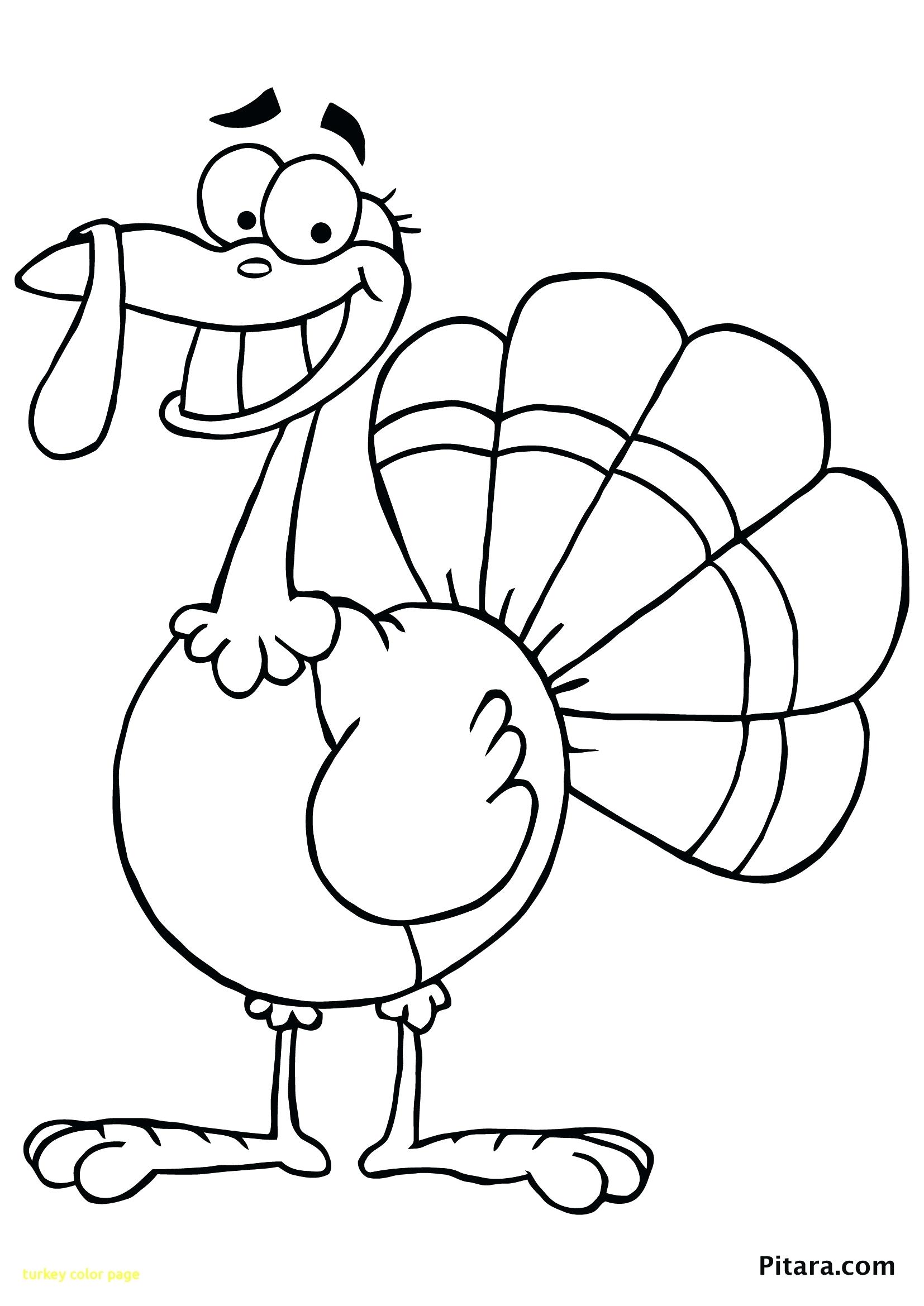 free printable thanksgiving turkey coloring pages