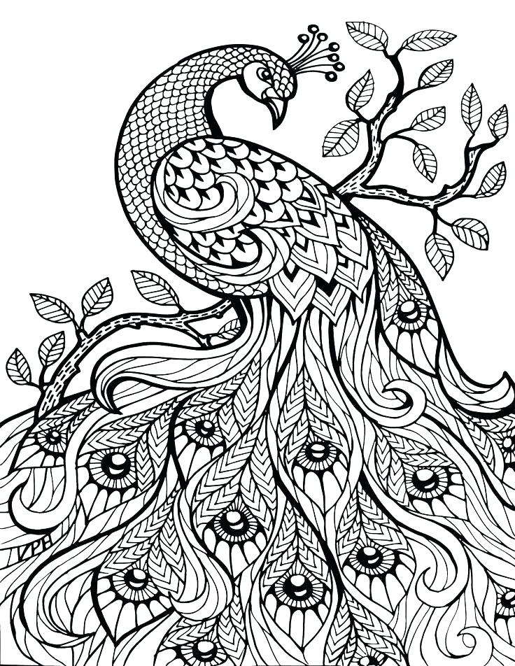 Tiger Mandala Coloring Pages at GetDrawings | Free download