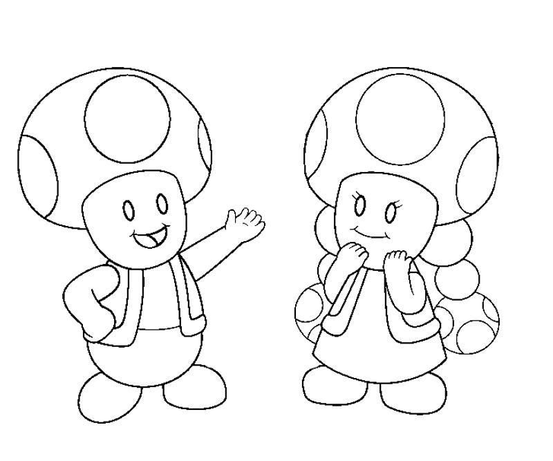 800x667 Toadette Coloring Pages.
