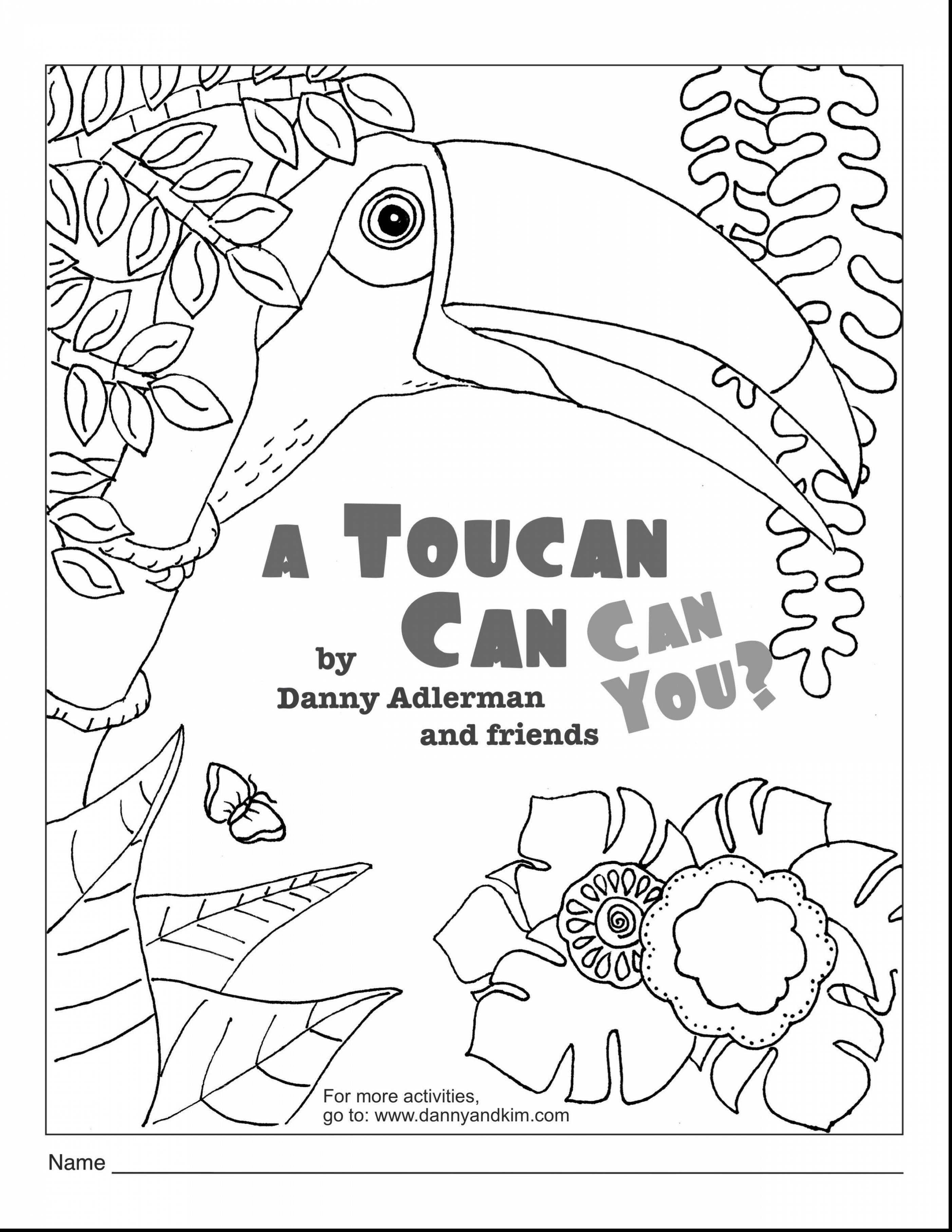 Toucan Coloring Page at GetDrawings | Free download