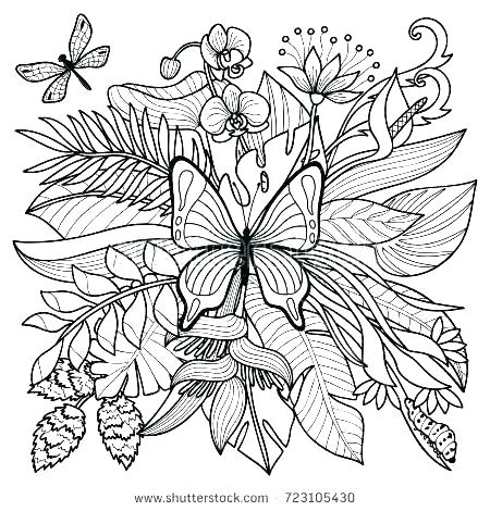 Tropical Coloring Pages at GetDrawings | Free download