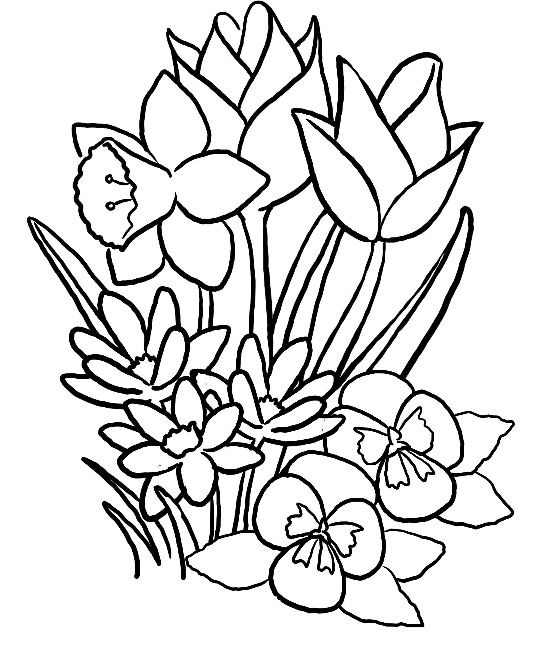 Tulip Flower Coloring Pages At GetDrawings Free Download