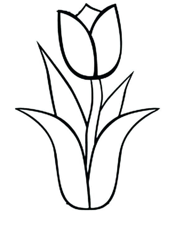 Featured image of post Simple Tulip Coloring Pages - 600x811 tulips coloring pages tulip coloring pictures coloring page simple.