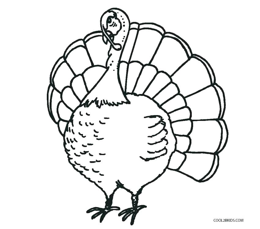 turkey-body-coloring-page-at-getdrawings-free-download