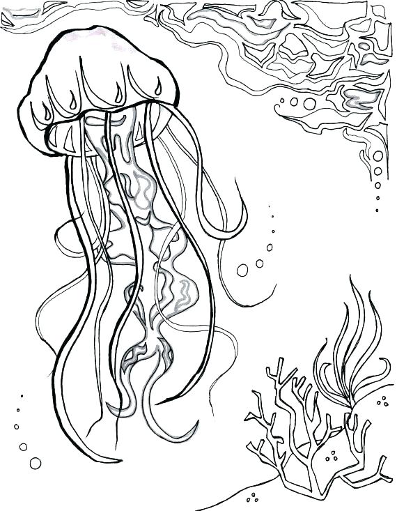 Under The Sea Printable Coloring Pages at GetDrawings | Free download