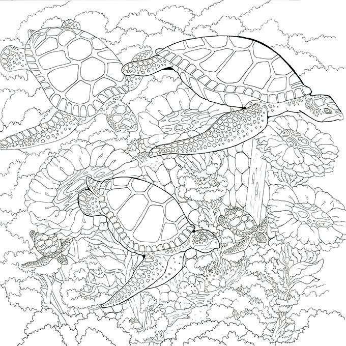 Underwater Coloring Pages - Coloringnori - Coloring Pages for Kids