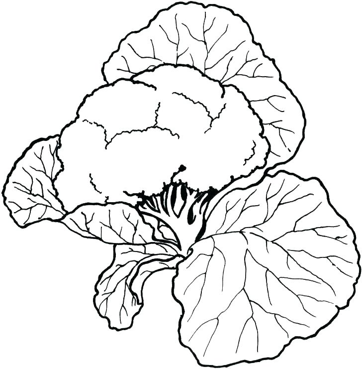 vegetable-coloring-pages-printable-at-getdrawings-free-download