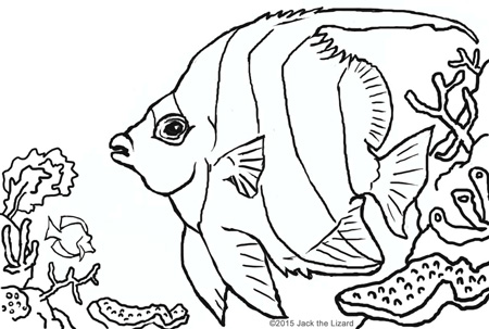 Viper Fish Coloring Pages at GetDrawings | Free download