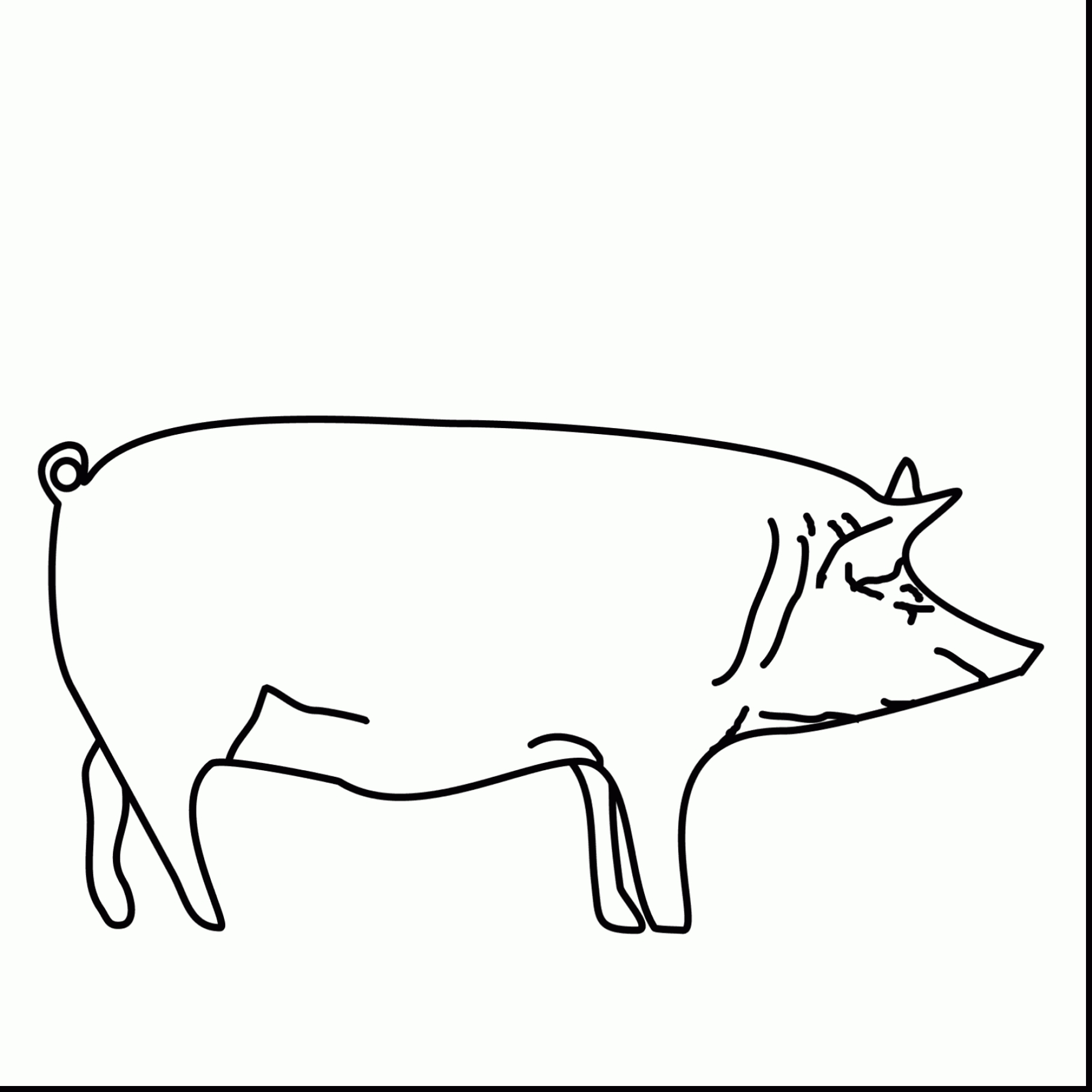 Warthog Coloring Page at GetDrawings | Free download