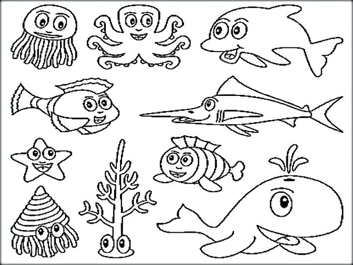 10 Water Animal Coloring Pages for Kids and Adults to Dive into the Marine World