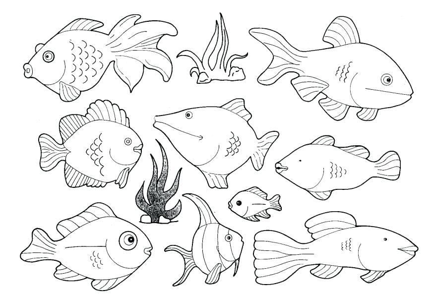 10 Water Animal Coloring Pages for Kids and Adults to Dive into the Marine World