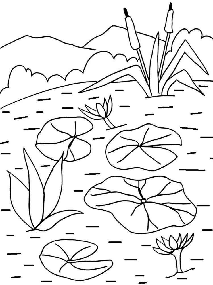 Printable Lily Pad Coloring Pages For Kids