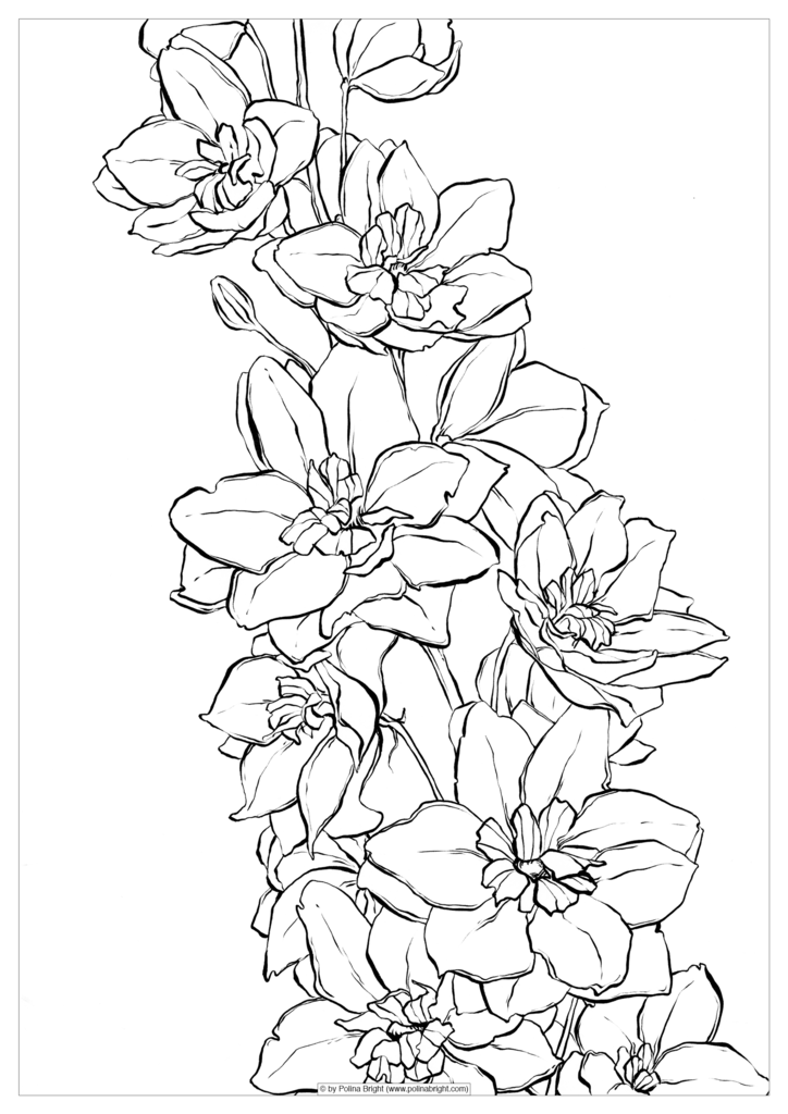 Watercolor Coloring Pages at GetDrawings | Free download