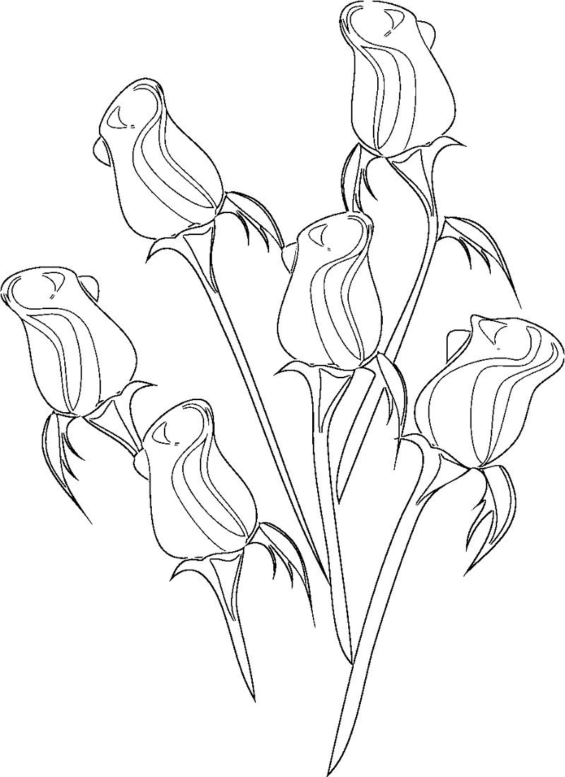 Wedding Bouquet Coloring Pages At Getdrawings Free Download