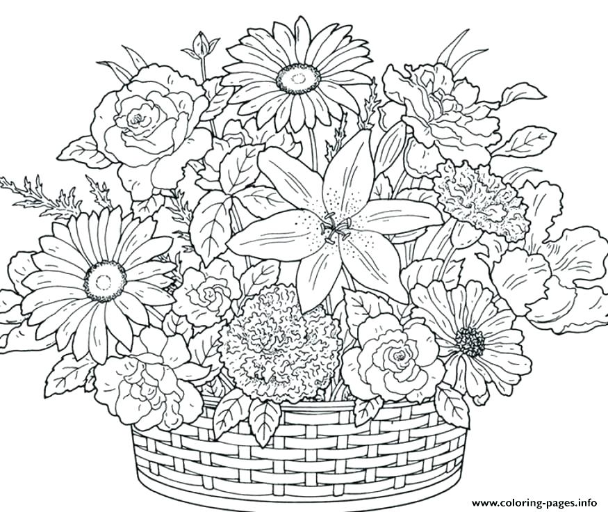 Featured image of post Garden Wildflower Coloring Pages