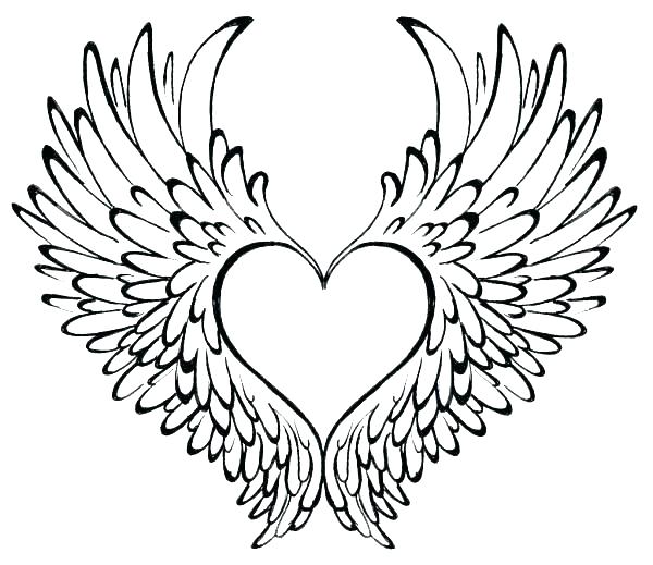 Angel Wings Vector At GetDrawings Free Download