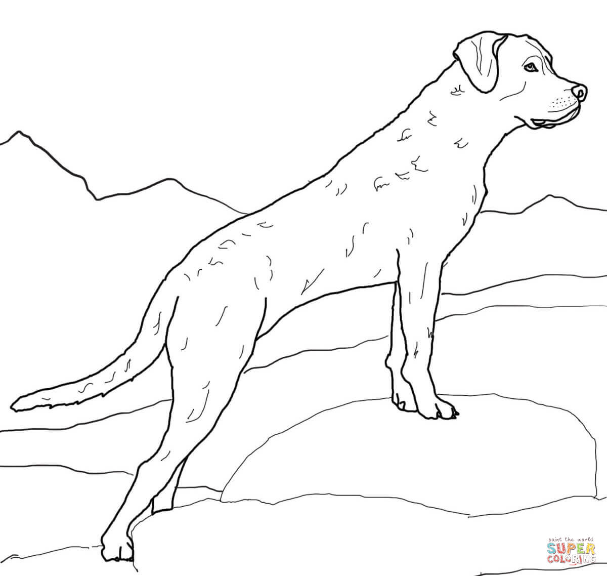 Featured image of post Labrador Dog Coloring Pages These dog coloring pages printable will help your kids recognize the different breeds of dogs