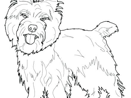 Yorkie Dog Coloring Pages at GetDrawings | Free download