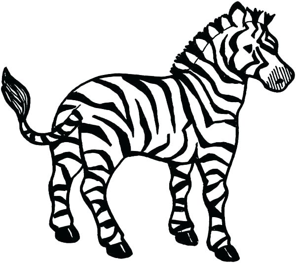 Zebra Coloring Pages Free Printable at GetDrawings | Free download