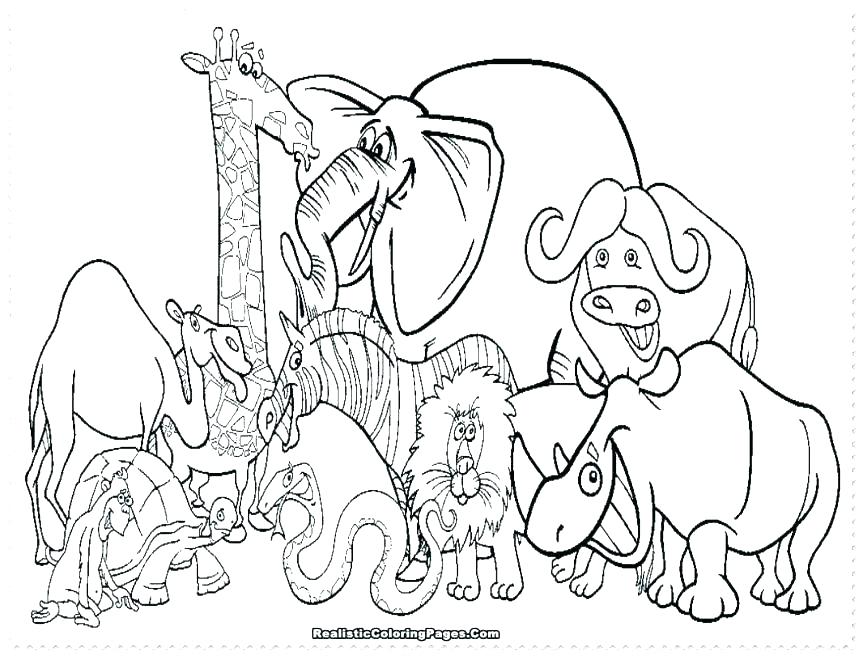 Zoo Animal Coloring Pages For Preschool at GetDrawings | Free download