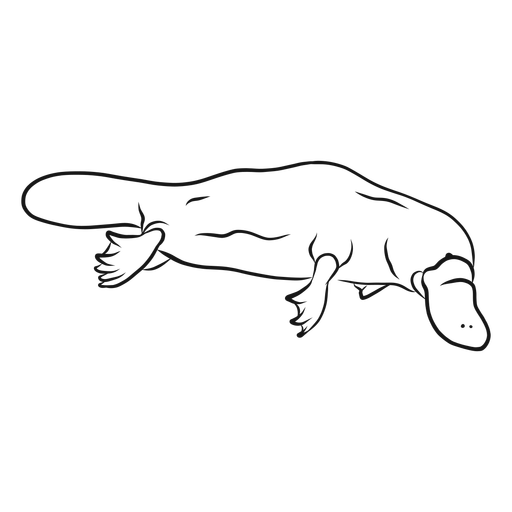 Platypus Icon At GetDrawings | Free Download