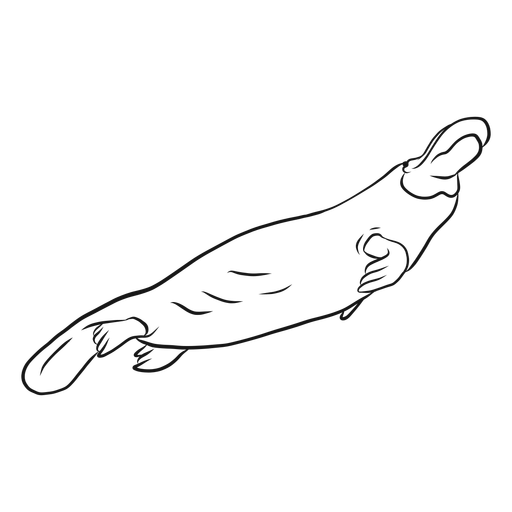 Platypus Icon At GetDrawings | Free Download