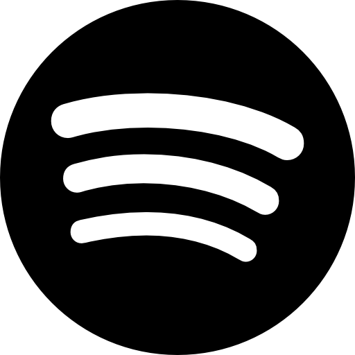 rainmeter spotify player tag