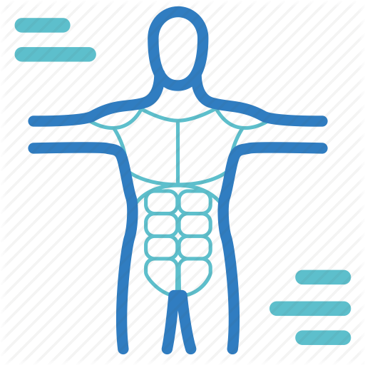 Human Body Icon At Getdrawings Free Download