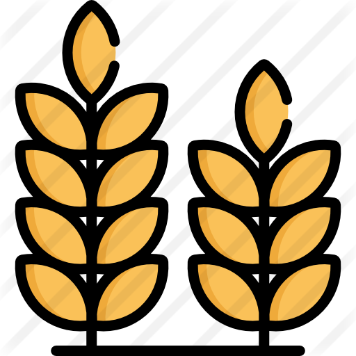 Wheat Icon Png at GetDrawings | Free download