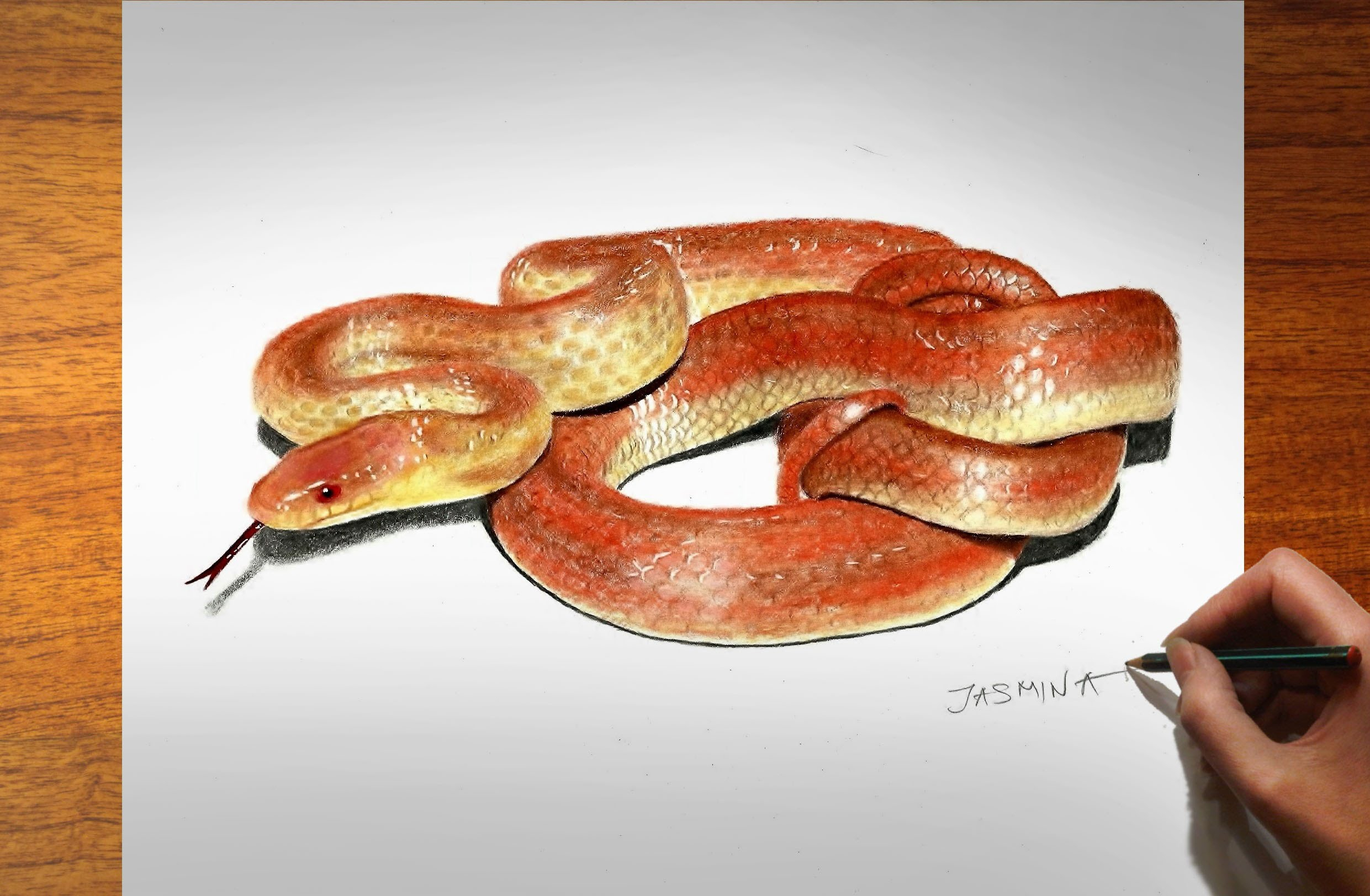 3d Snake Drawing at GetDrawings Free download