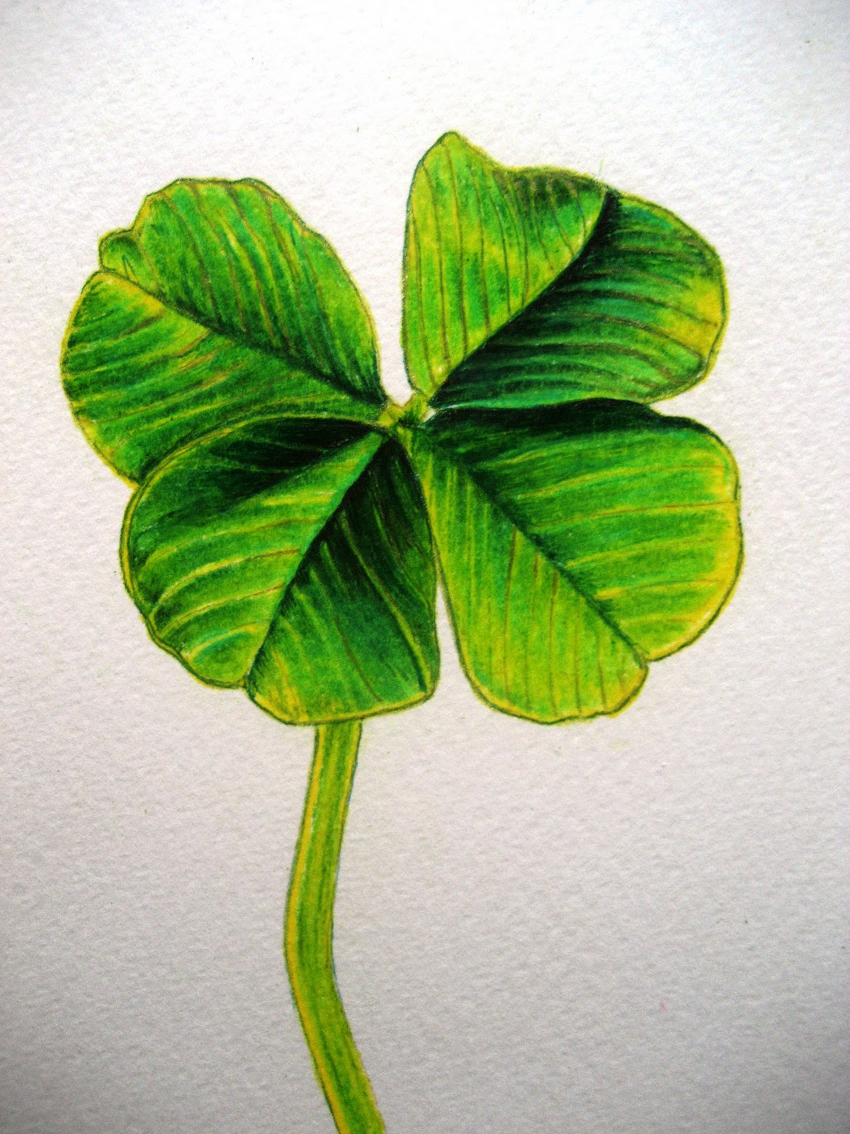 4 Leaf Clover Drawing at GetDrawings Free download