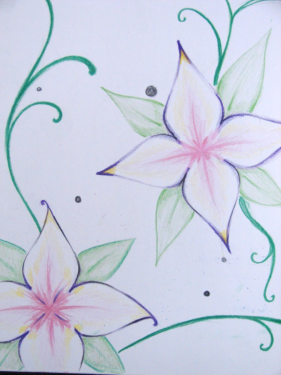 5 Petal Flower Drawing at GetDrawings Free download