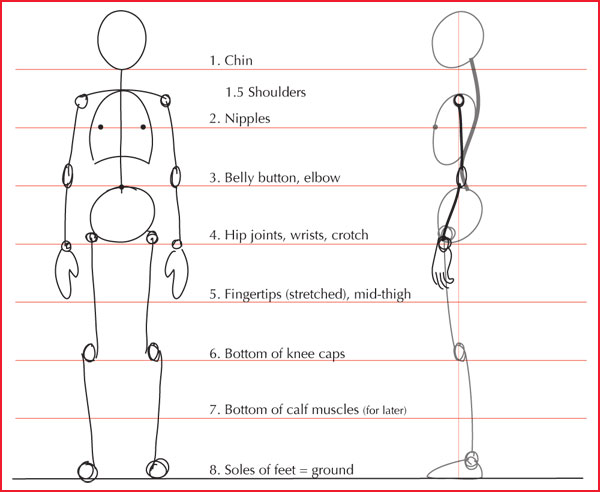 7 Figure Drawing Proportions to Know