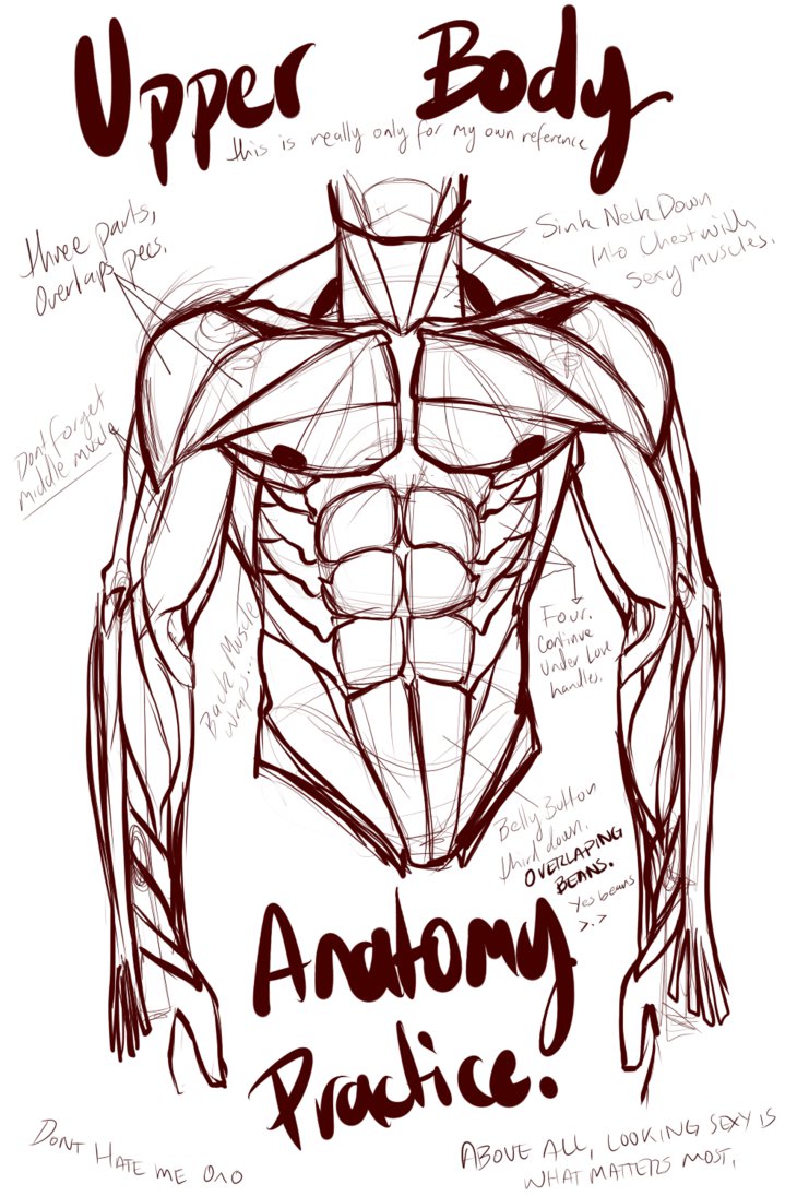 Abs Drawing At Getdrawings Free Download 7605