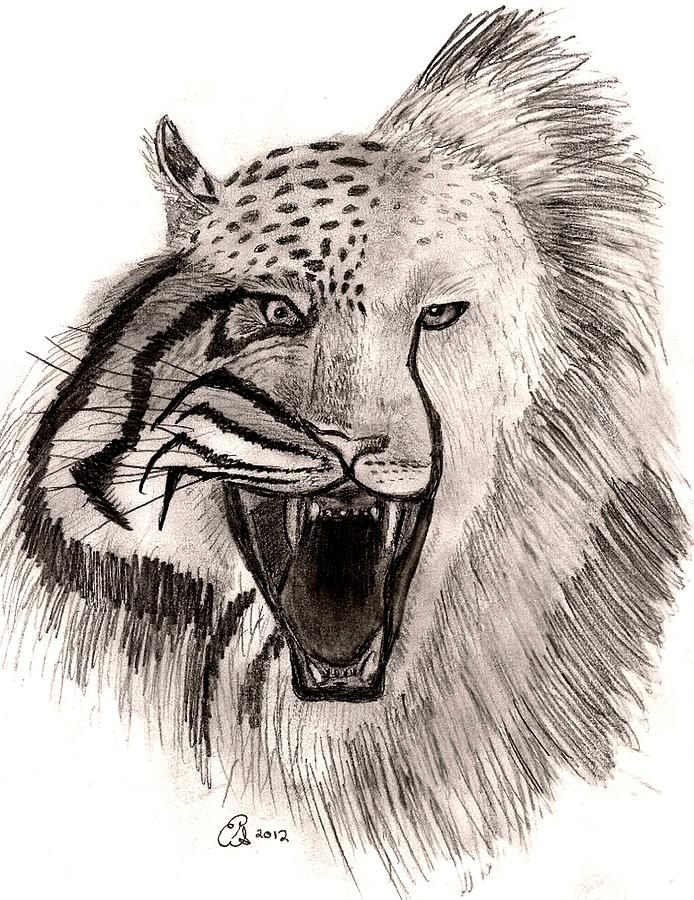 African Animal Drawing at GetDrawings | Free download