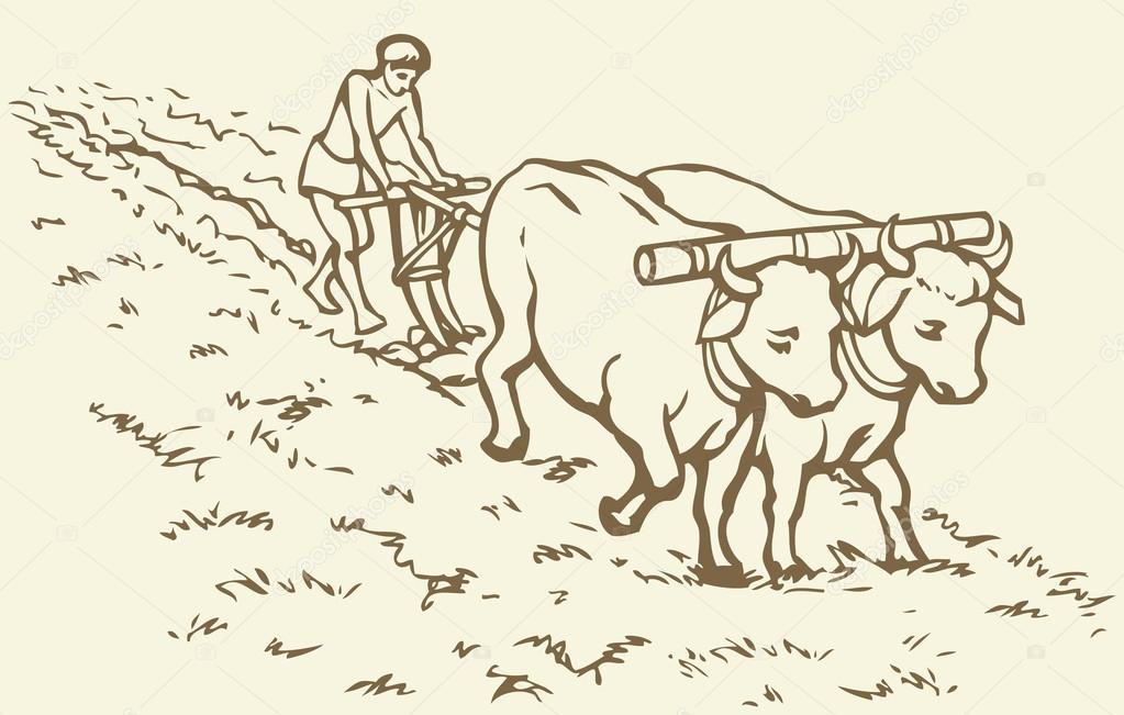 Agriculture Drawing at GetDrawings Free download