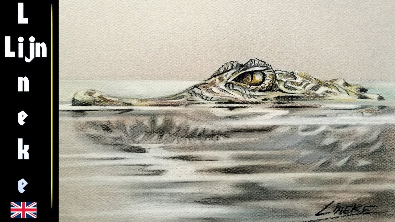 Alligator In Water Drawing at GetDrawings Free download